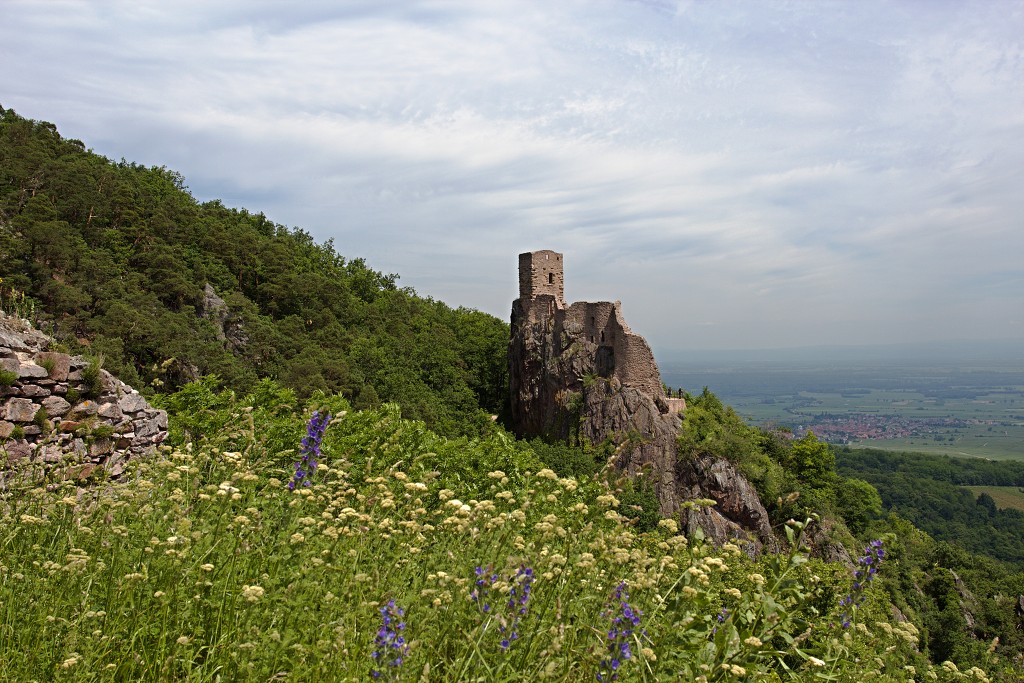 ribeauville hdr france frankrijk elzas vogezen vosges haut-rhin haut rhin Sinnplatz kasteel chateau Girsberg Saint Ulrich Haut-Ribeaupierre